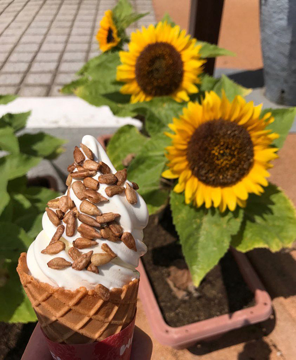 2022年度 北海道版 ガチャピンズラリー達成者