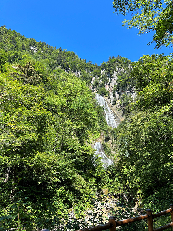 2022年度 北海道版 ガチャピンズラリー達成者