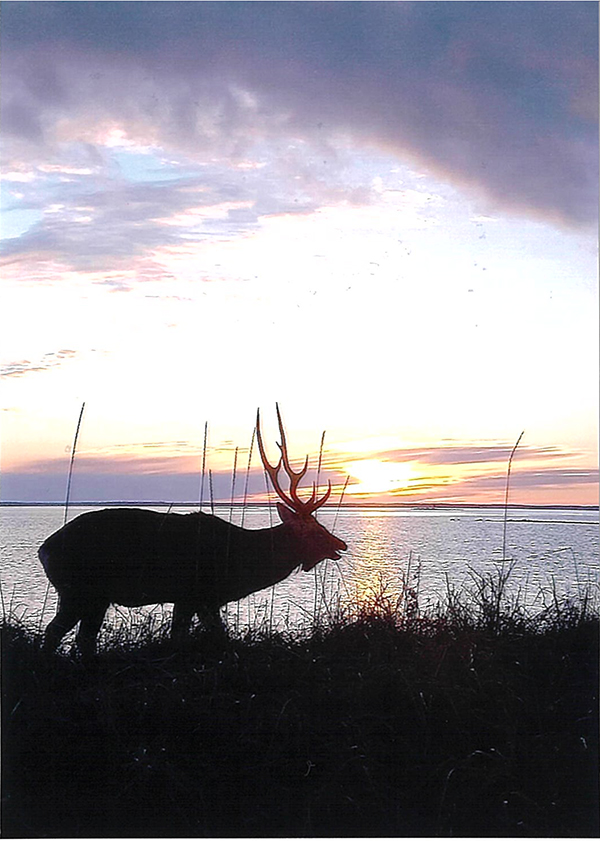 2022年度 北海道版 ガチャピンズラリー達成者