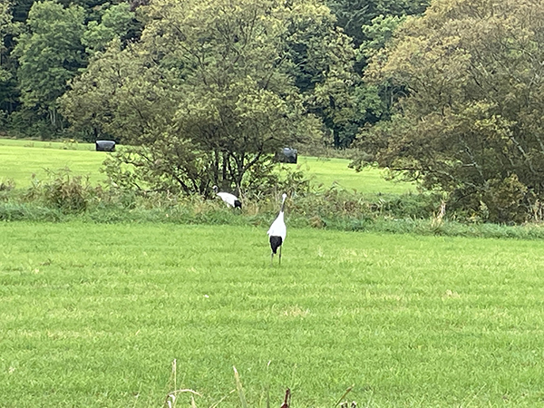 2022年度 北海道版 ガチャピンズラリー達成者
