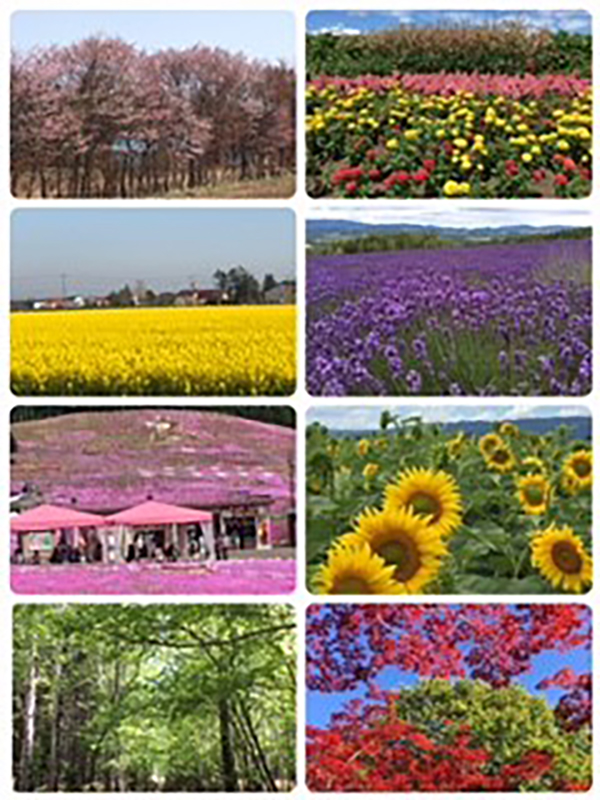 2022年度 北海道版 ガチャピンズラリー達成者