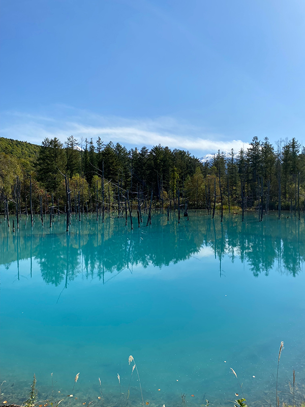 2022年度 北海道版 ガチャピンズラリー達成者