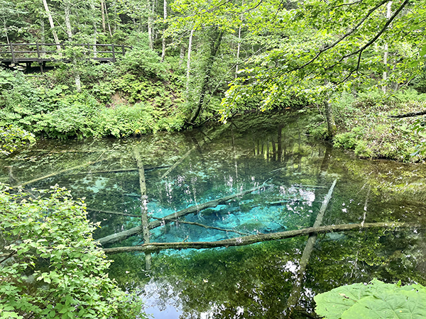 2022年度 北海道版 ガチャピンズラリー達成者