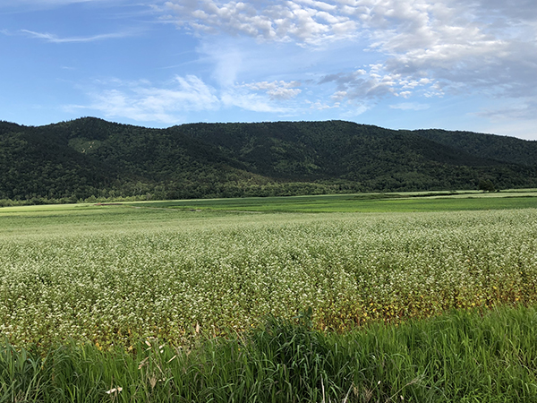 2022年度 北海道版 ガチャピンズラリー達成者