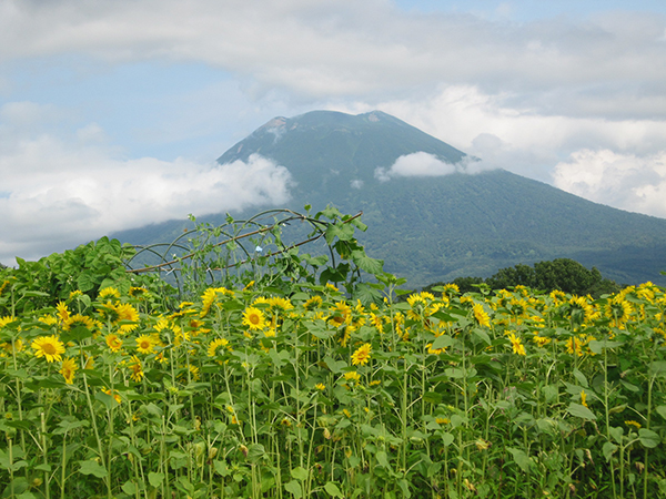 2022年度 北海道版 ガチャピンズラリー達成者