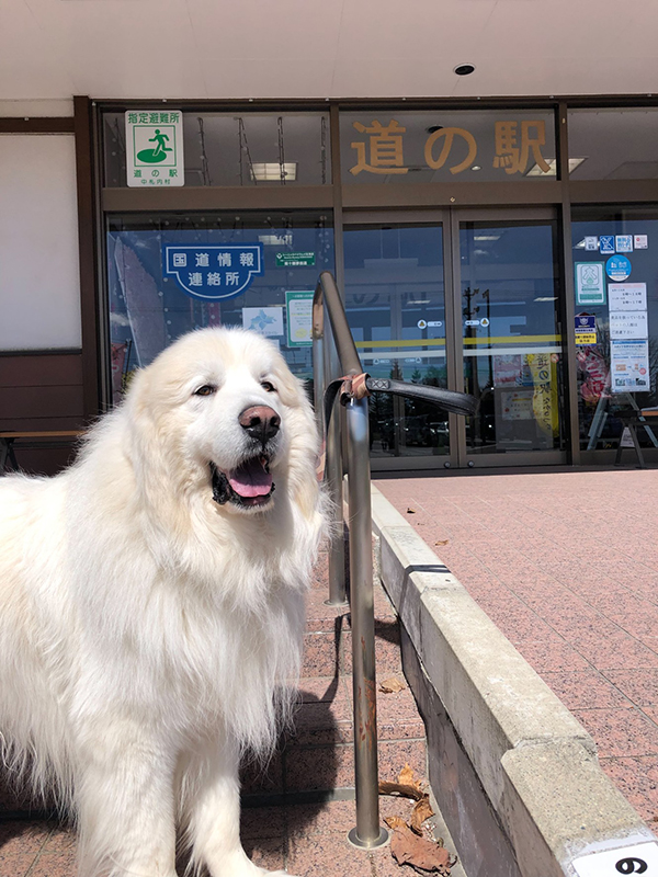 2022年度 北海道版 ガチャピンズラリー達成者