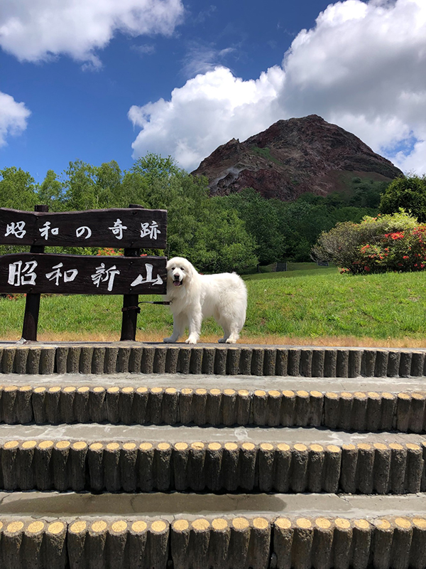 2022年度 北海道版 ガチャピンズラリー達成者