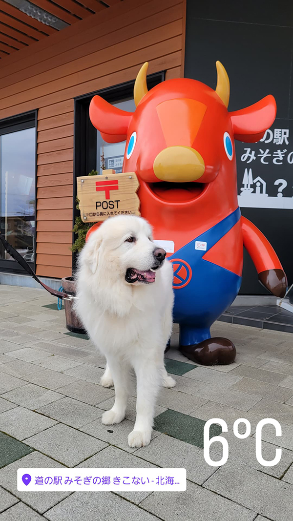 2022年度 北海道版 ガチャピンズラリー達成者