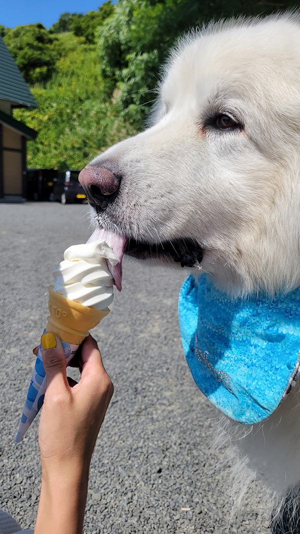 2022年度 北海道版 ガチャピンズラリー達成者