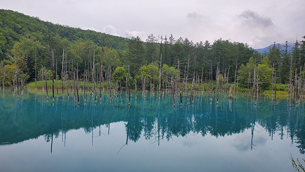 2022年度 北海道版 ガチャピンズラリー達成者