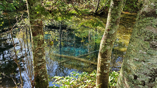 2022年度 北海道版 ガチャピンズラリー達成者