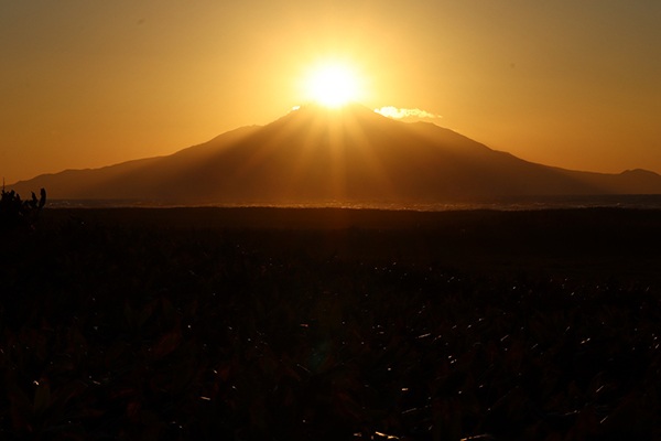 2022年度 北海道版 ガチャピンズラリー達成者