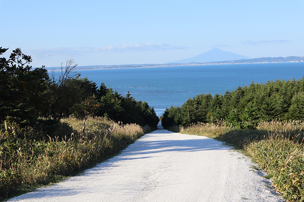 2022年度 北海道版 ガチャピンズラリー達成者