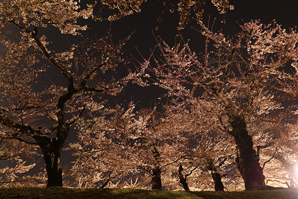 2022年度 北海道版 ガチャピンズラリー達成者