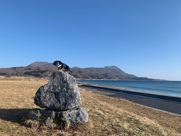 2022年度 北海道版 ガチャピンズラリー達成者