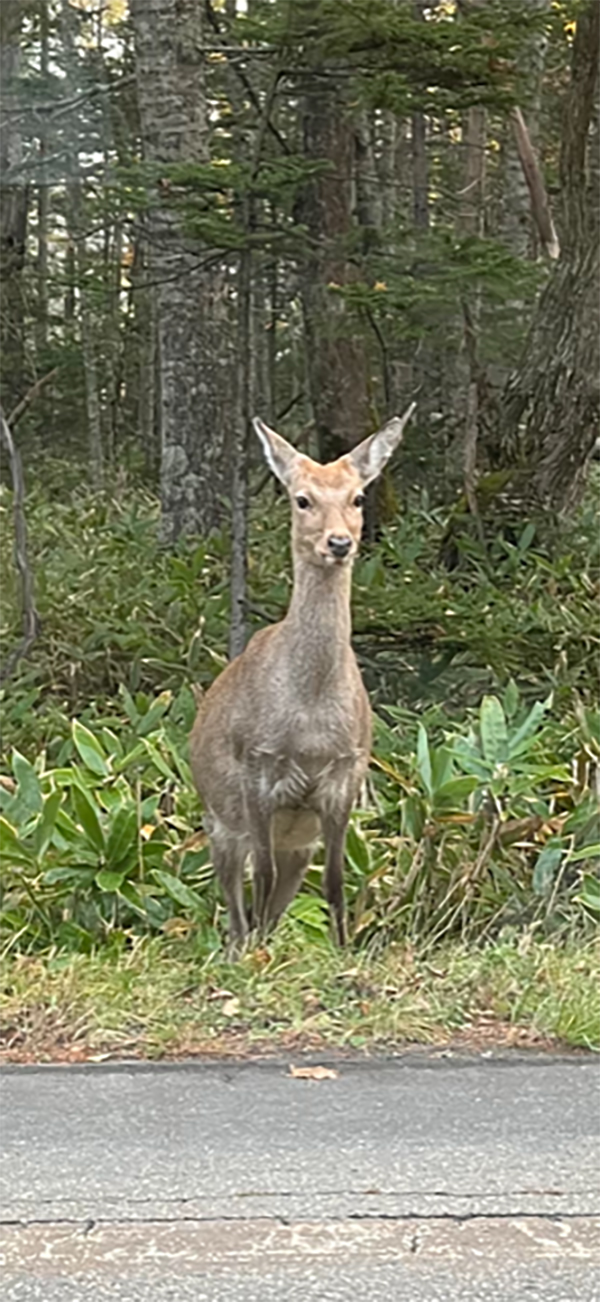 2022年度 北海道版 ガチャピンズラリー達成者