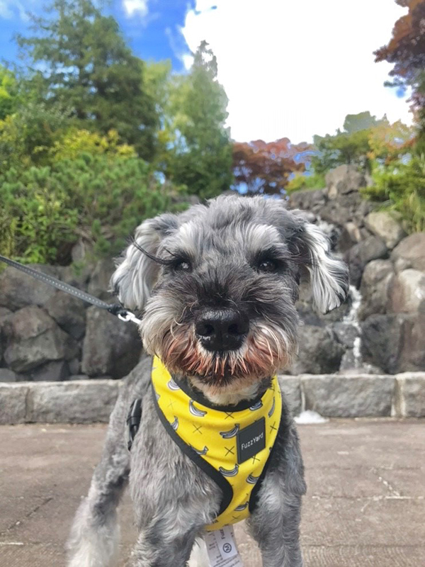 2022年度 北海道版 ガチャピンズラリー達成者