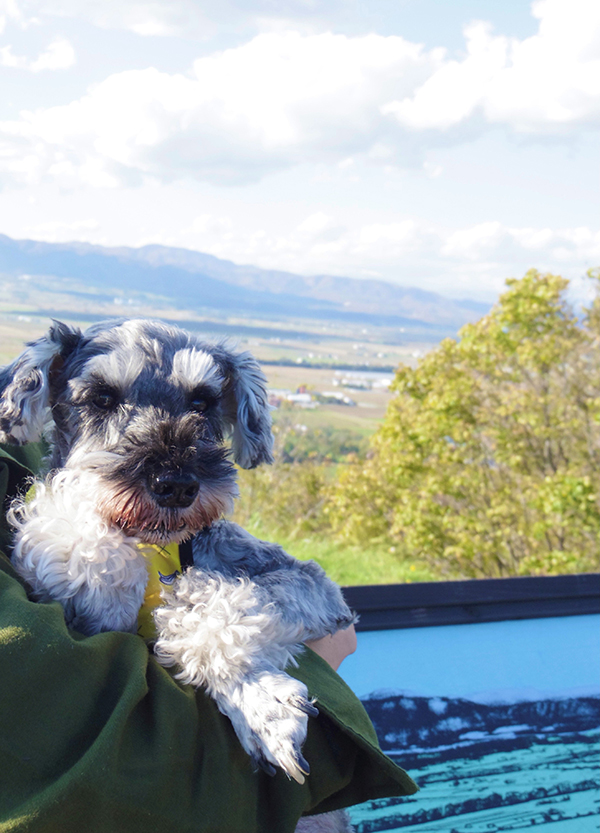 2022年度 北海道版 ガチャピンズラリー達成者