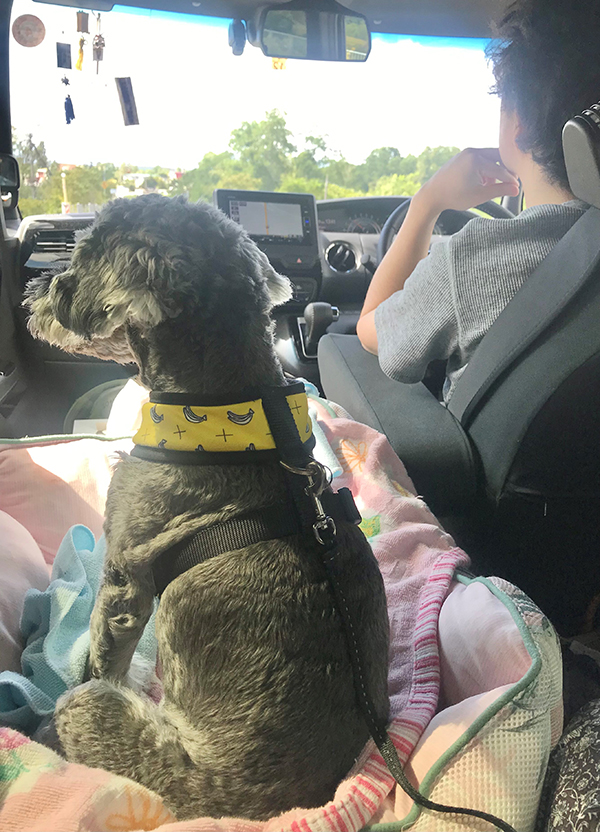 2022年度 北海道版 ガチャピンズラリー達成者