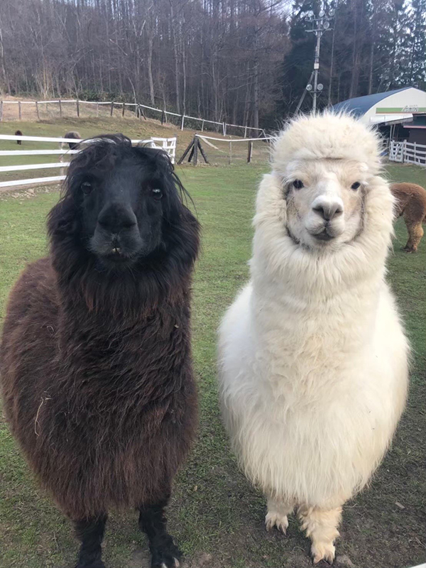 2022年度 北海道版 ガチャピンズラリー達成者