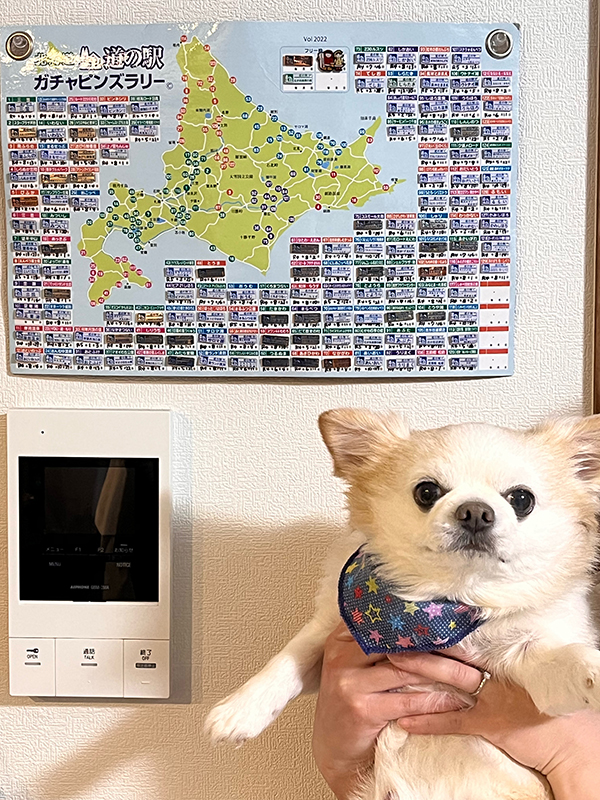 2022年度 北海道版 ガチャピンズラリー達成者