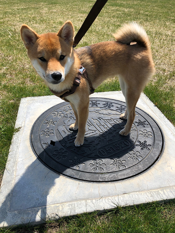 2022年度 北海道版 ガチャピンズラリー達成者