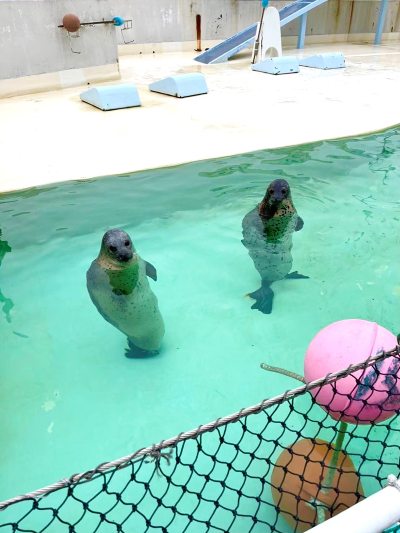 2023年度 北海道版 ガチャピンズラリー達成者