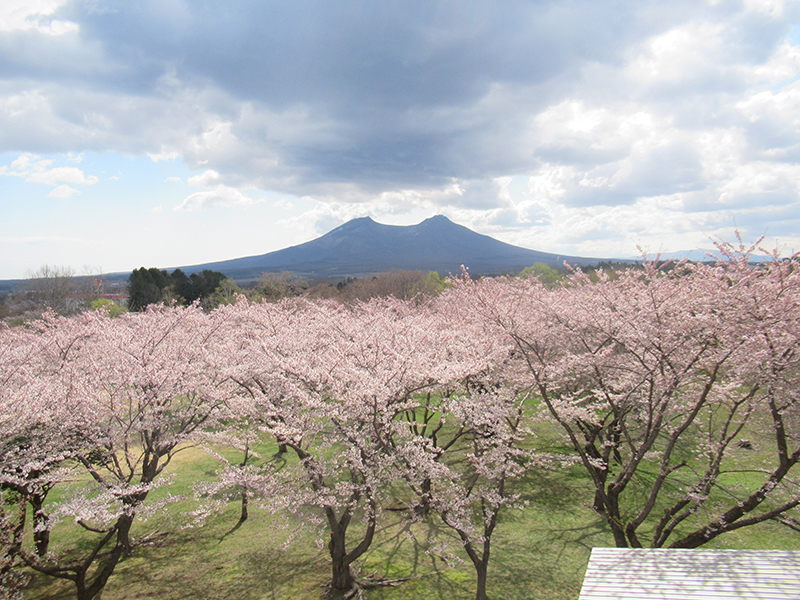 2023年度 北海道版 ガチャピンズラリー達成者