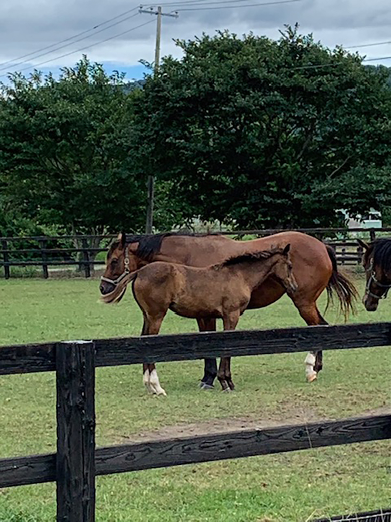 2023年度 北海道版 ガチャピンズラリー達成者