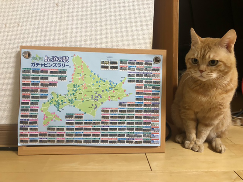 2023年度 北海道版 ガチャピンズラリー達成者