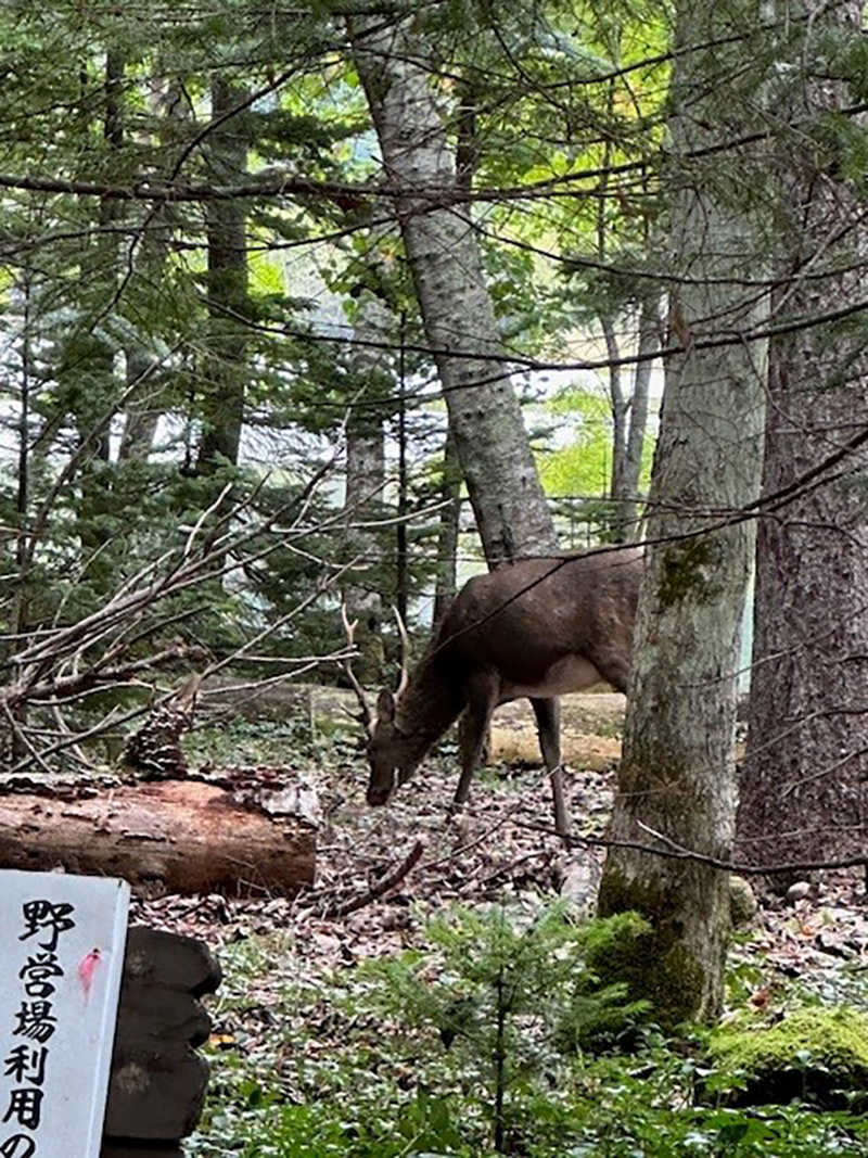 2023年度 北海道版 ガチャピンズラリー達成者