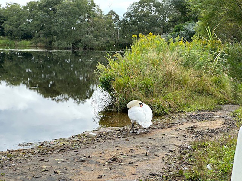 2023年度 北海道版 ガチャピンズラリー達成者