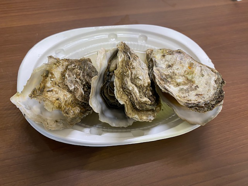 2023年度 北海道版 ガチャピンズラリー達成者