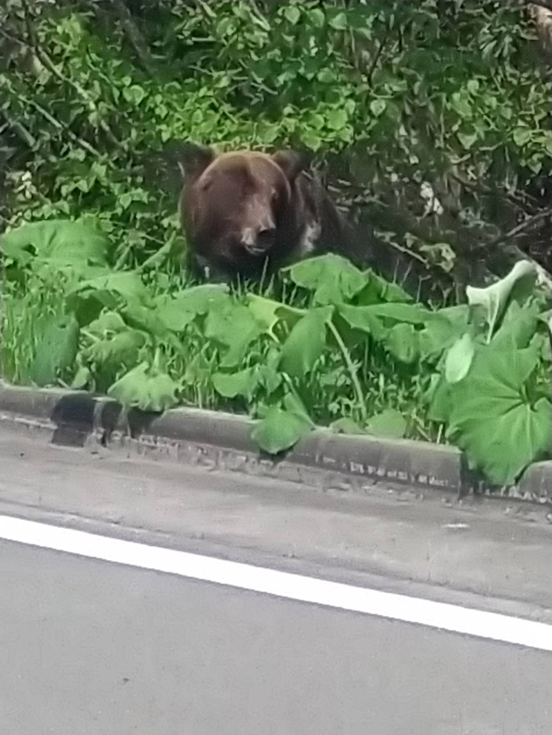 2023年度 北海道版 ガチャピンズラリー達成者