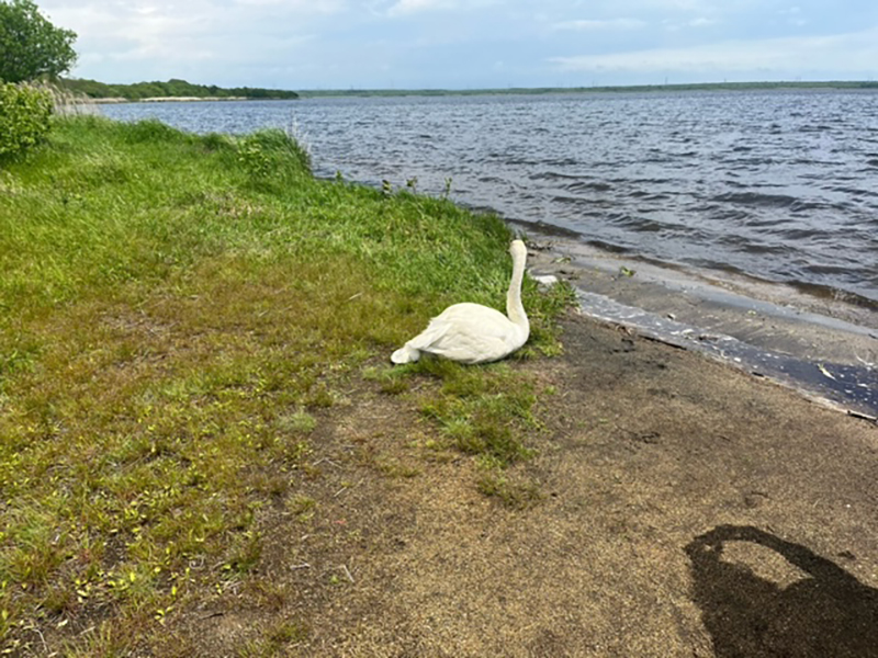 2023年度 北海道版 ガチャピンズラリー達成者