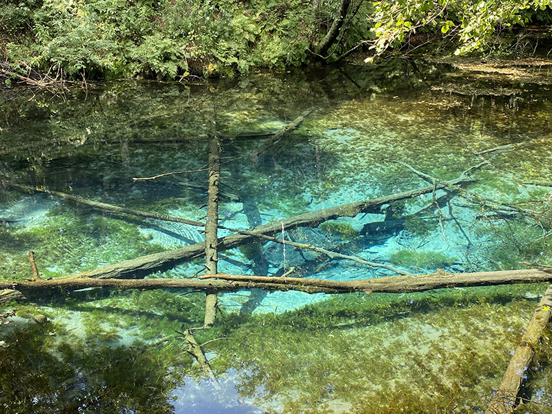 2023年度 北海道版 ガチャピンズラリー達成者