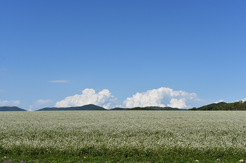 2023年度 北海道版 ガチャピンズラリー達成者