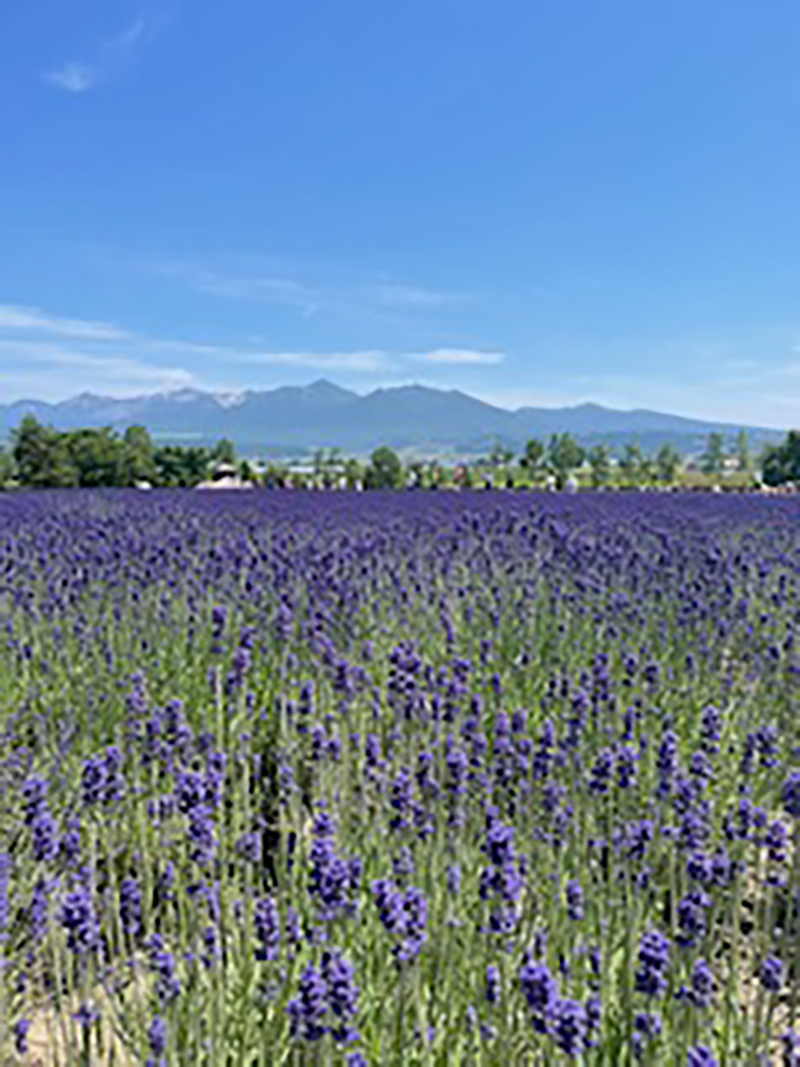 2023年度 北海道版 ガチャピンズラリー達成者