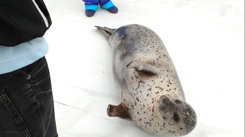 2023年度 北海道版 ガチャピンズラリー達成者