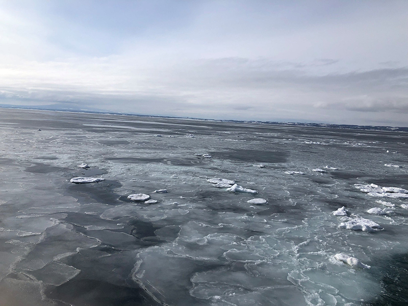 2023年度 北海道版 ガチャピンズラリー達成者