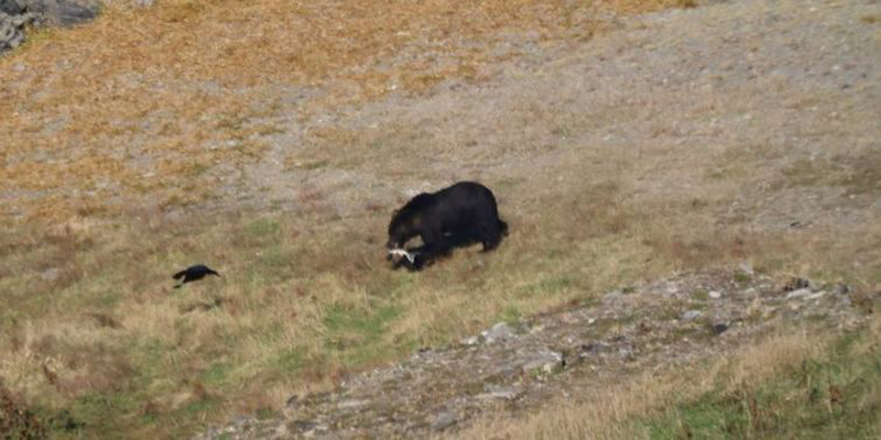 2023年度 北海道版 ガチャピンズラリー達成者