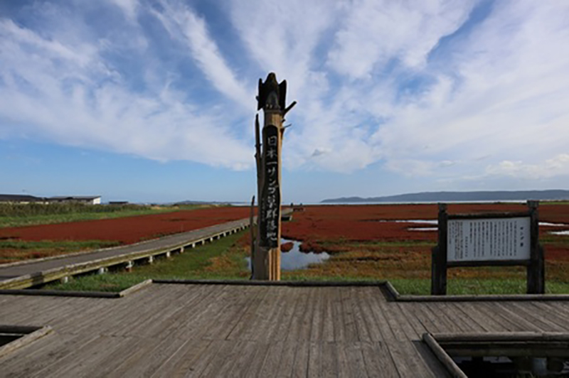 2023年度 北海道版 ガチャピンズラリー達成者