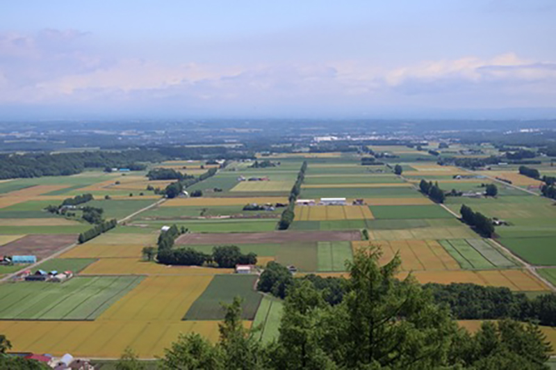 2023年度 北海道版 ガチャピンズラリー達成者
