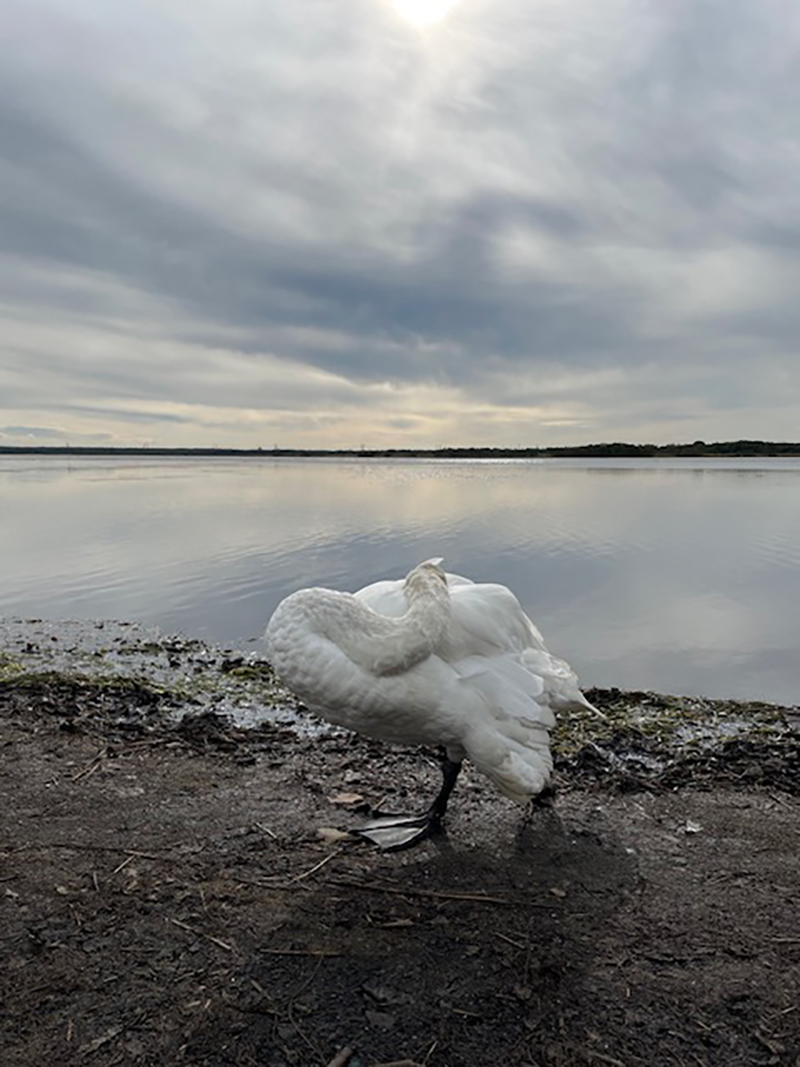 2023年度 北海道版 ガチャピンズラリー達成者