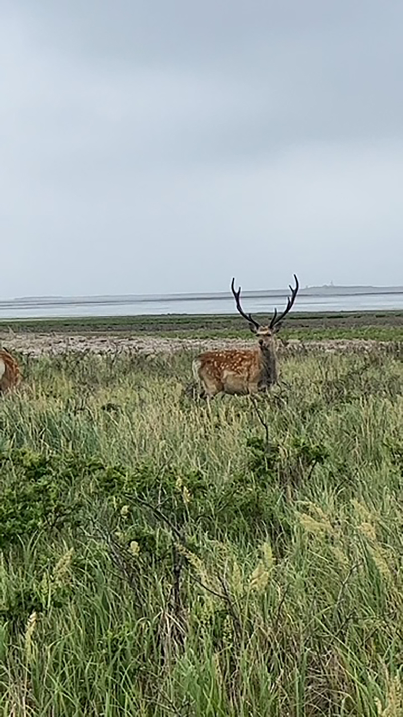 2023年度 北海道版 ガチャピンズラリー達成者