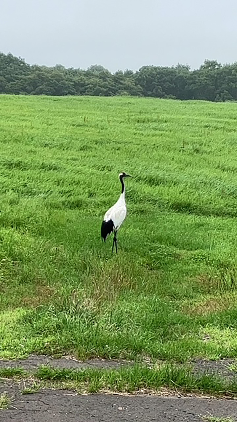 2023年度 北海道版 ガチャピンズラリー達成者