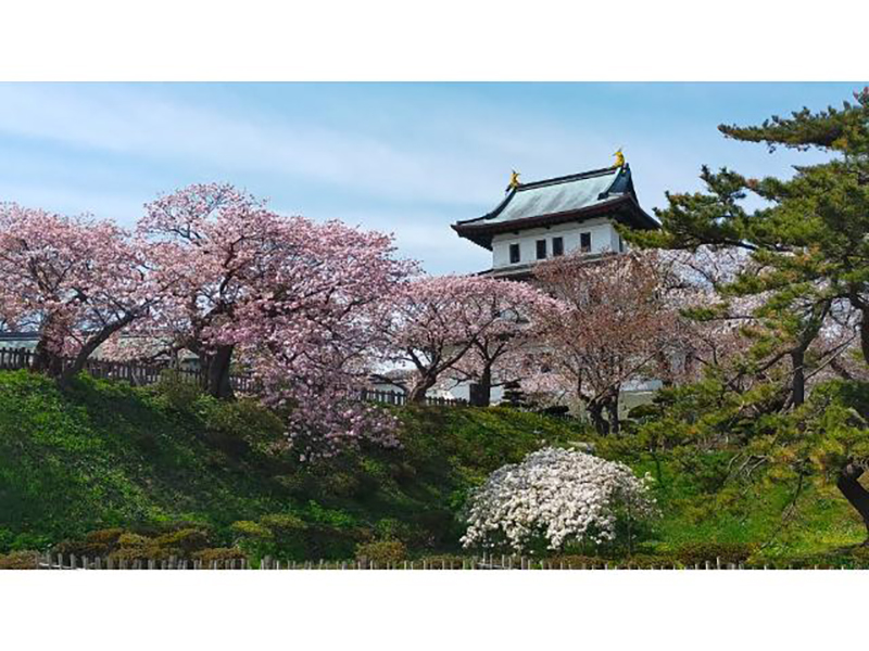 2023年度 北海道版 ガチャピンズラリー達成者