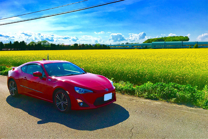 2023年度 北海道版 ガチャピンズラリー達成者