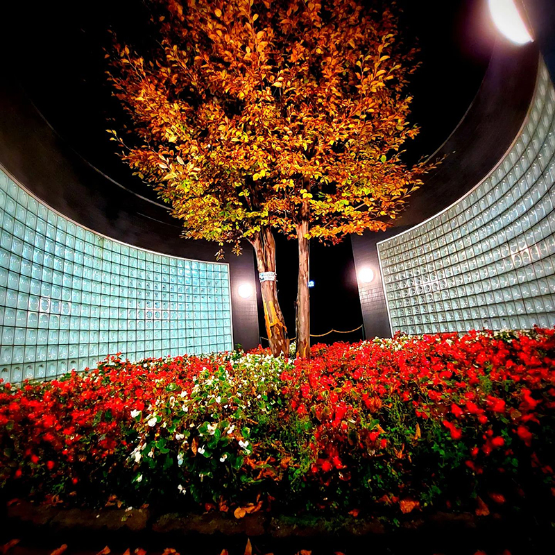 2023年度 北海道版 ガチャピンズラリー達成者