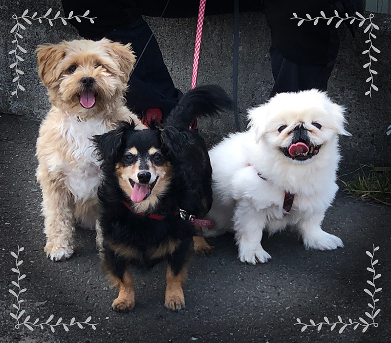 2023年度 北海道版 ガチャピンズラリー達成者